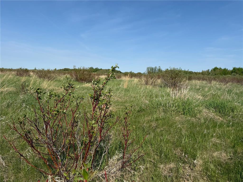 TBD 400th Street Twin Valley MN 56584 7082826 image58