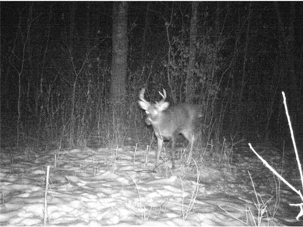 TBD 400th Street Twin Valley MN 56584 7082826 image63