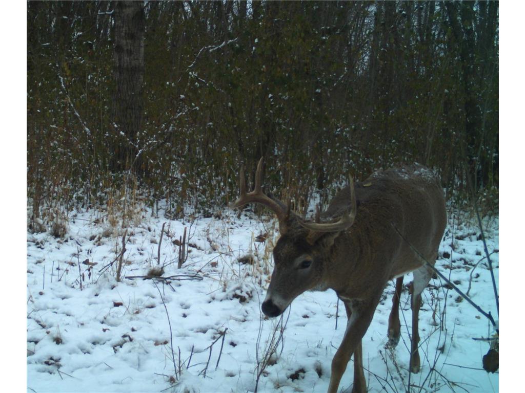 TBD 400th Street Twin Valley MN 56584 7082826 image64