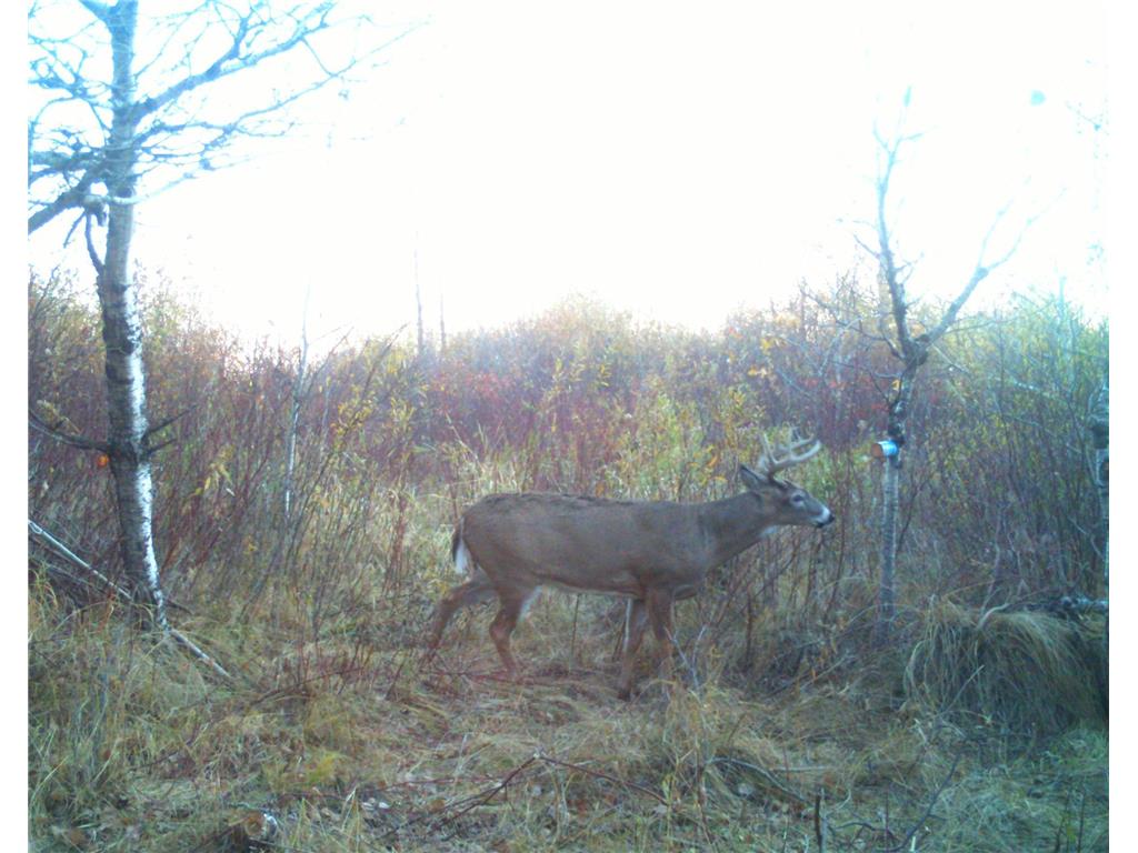TBD 400th Street Twin Valley MN 56584 7082826 image65