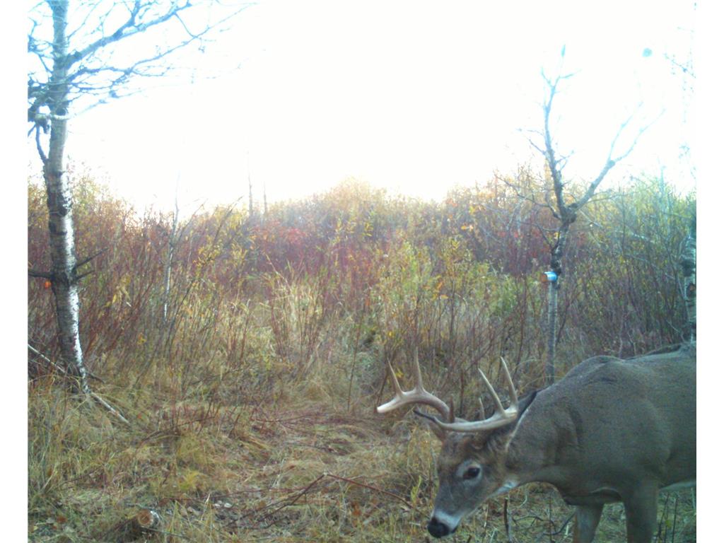 TBD 400th Street Twin Valley MN 56584 7082826 image66