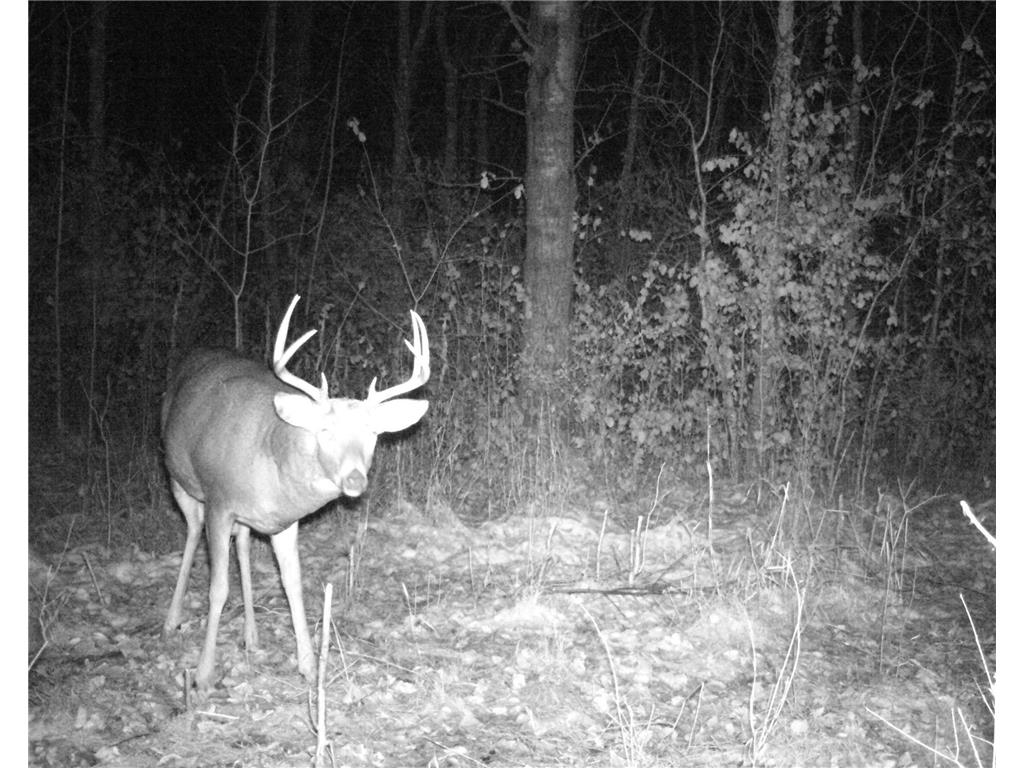 TBD 400th Street Twin Valley MN 56584 7082826 image70