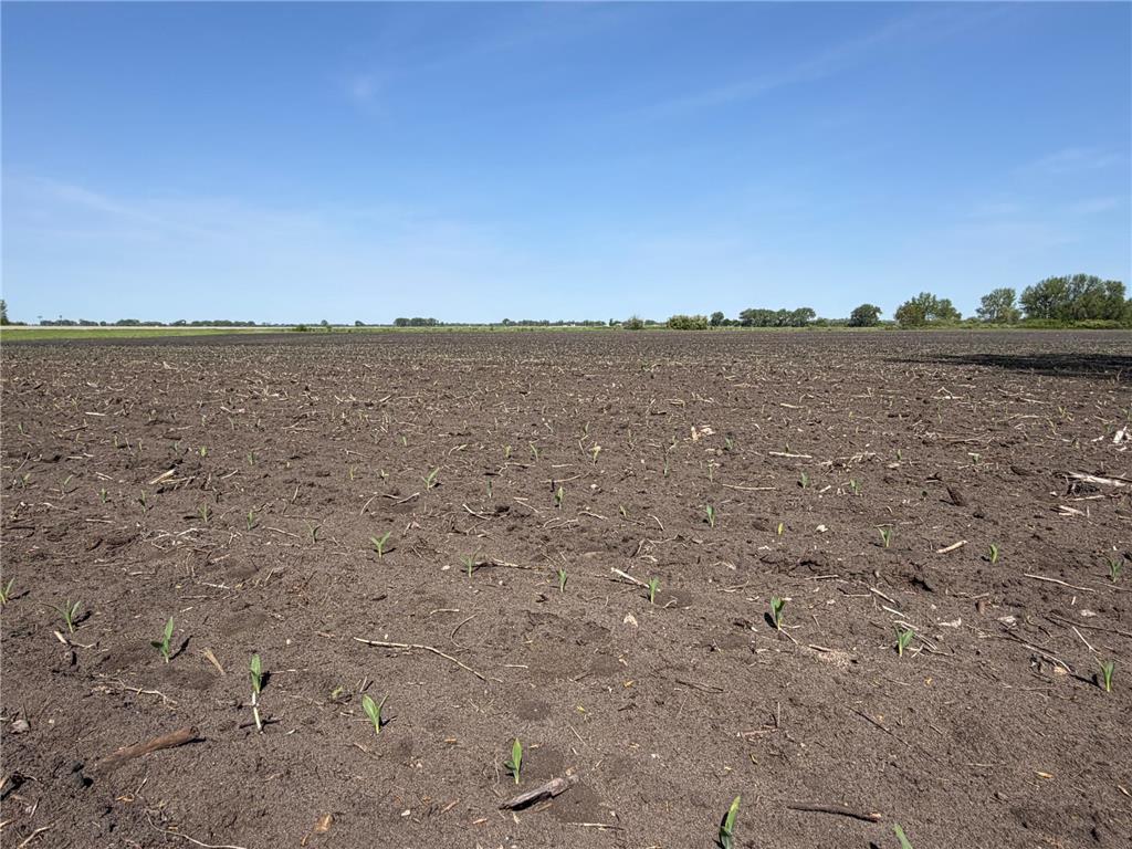 TBD- 400th Street Twin Valley MN 56584 - Wild Rice River 7082865 image23
