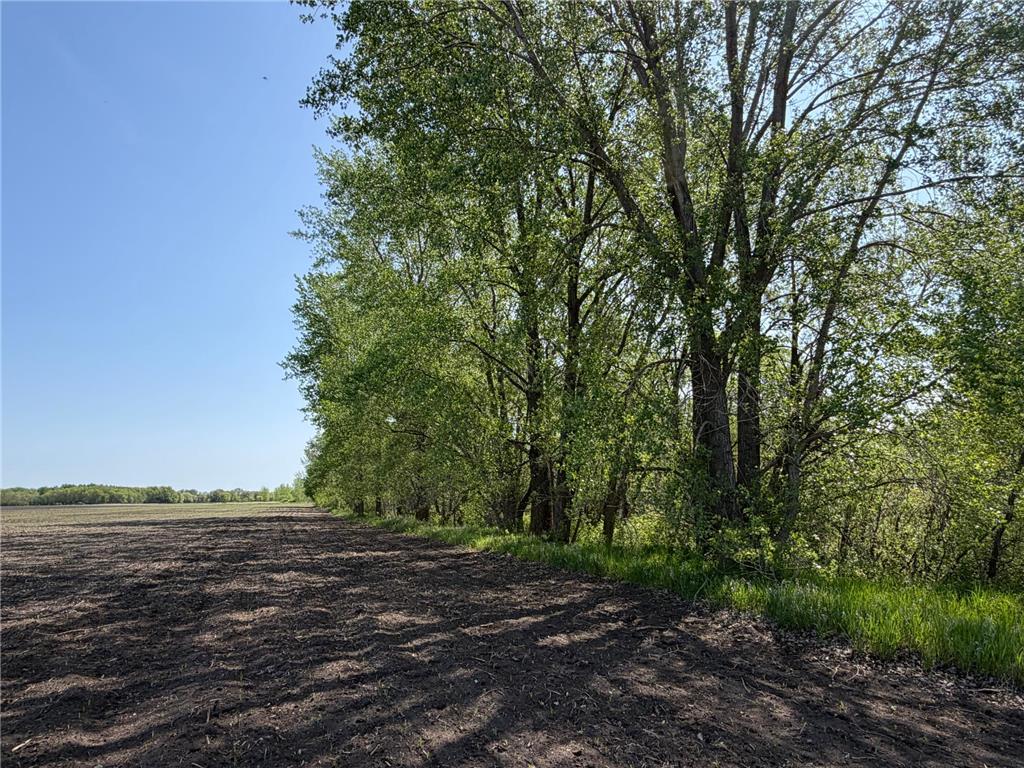 TBD- 400th Street Twin Valley MN 56584 - Wild Rice River 7082865 image24