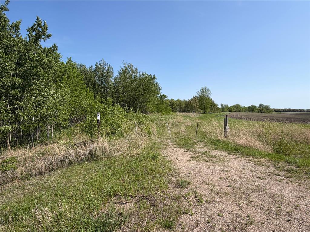 TBD- 400th Street Twin Valley MN 56584 - Wild Rice River 7082865 image25