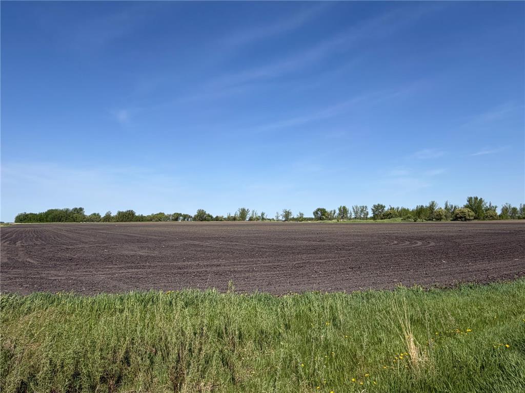TBD- 400th Street Twin Valley MN 56584 - Wild Rice River 7082865 image26