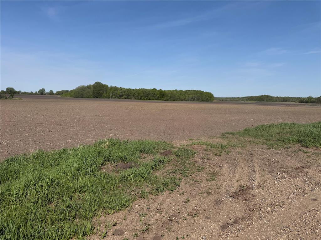 TBD- 400th Street Twin Valley MN 56584 - Wild Rice River 7082865 image27