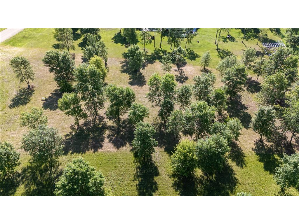 TBD 405th Avenue Richville MN 56576 - Long Lake 7057761 image15