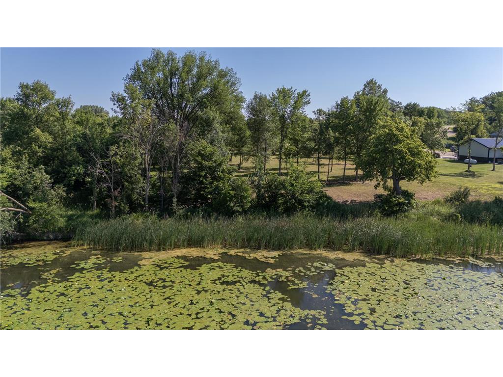TBD 405th Avenue Richville MN 56576 - Long Lake 7057761 image6