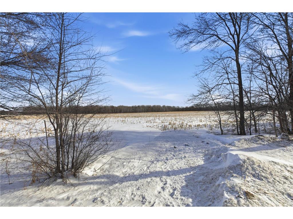 TBD 40th Ave NE Minden Twp MN 56379 7020167 image1