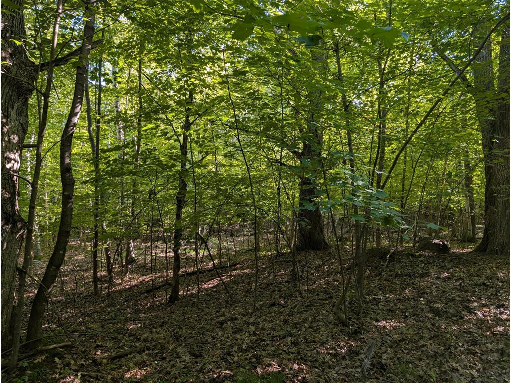 TBD 40th Clayton WI 54004 6780197 image10