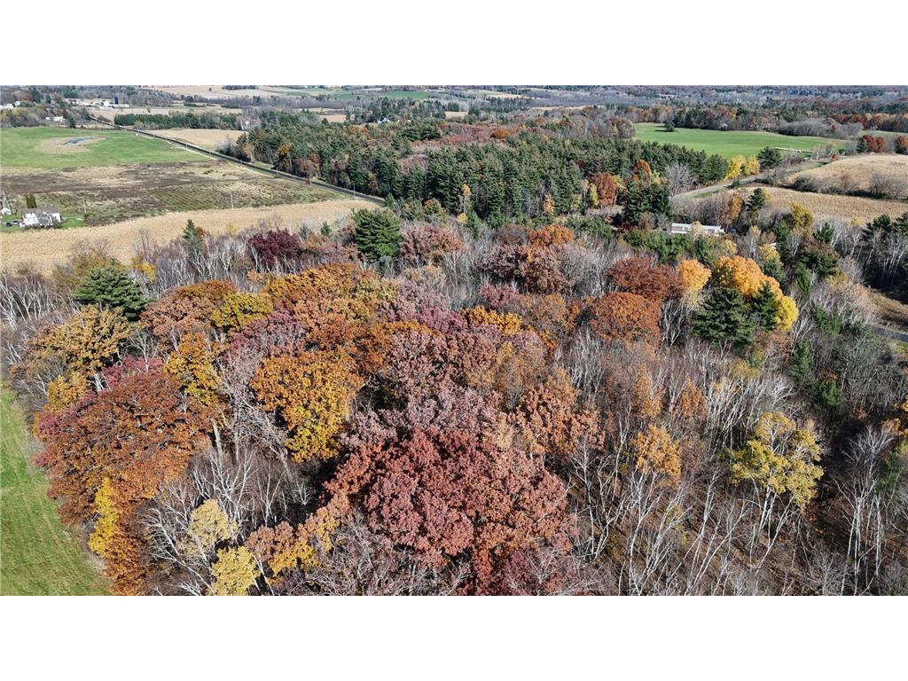 TBD 40th Clayton WI 54004 6780197 image21