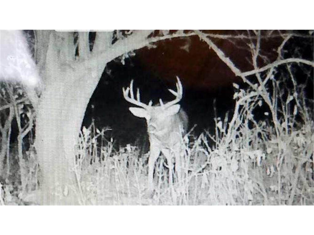 TBD 40th Clayton WI 54004 6780197 image23