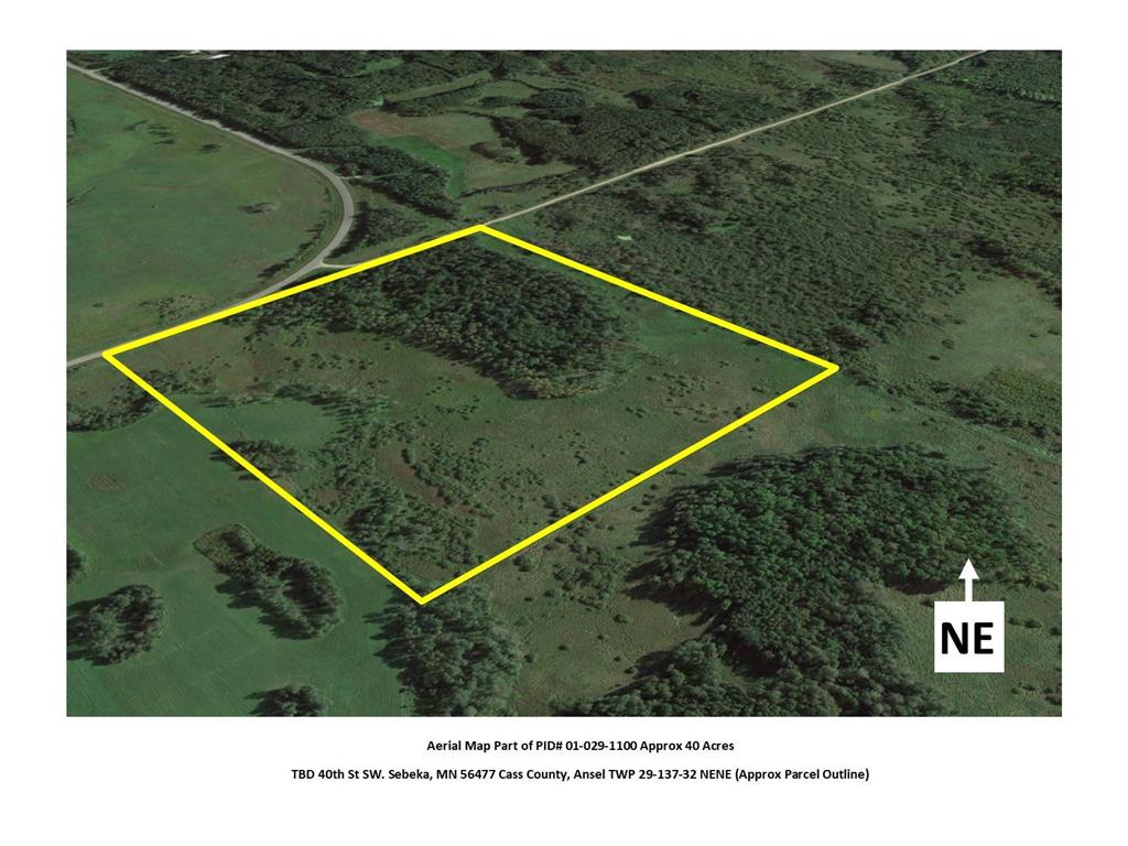 TBD 40th St. SW Ansel Twp MN 56477 6407609 image1