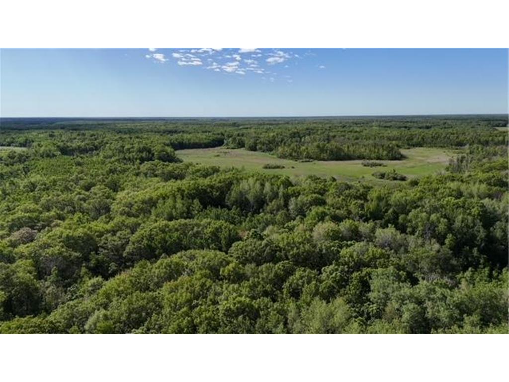 TBD 415th Avenue Hillman MN 56338 6547757 image1