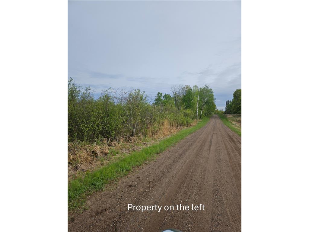 TBD 425 Place Hazelton Twp MN 56431 6726621 image1