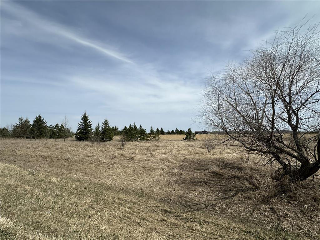 TBD 425th Avenue Perham Twp MN 56573 7060798 image10