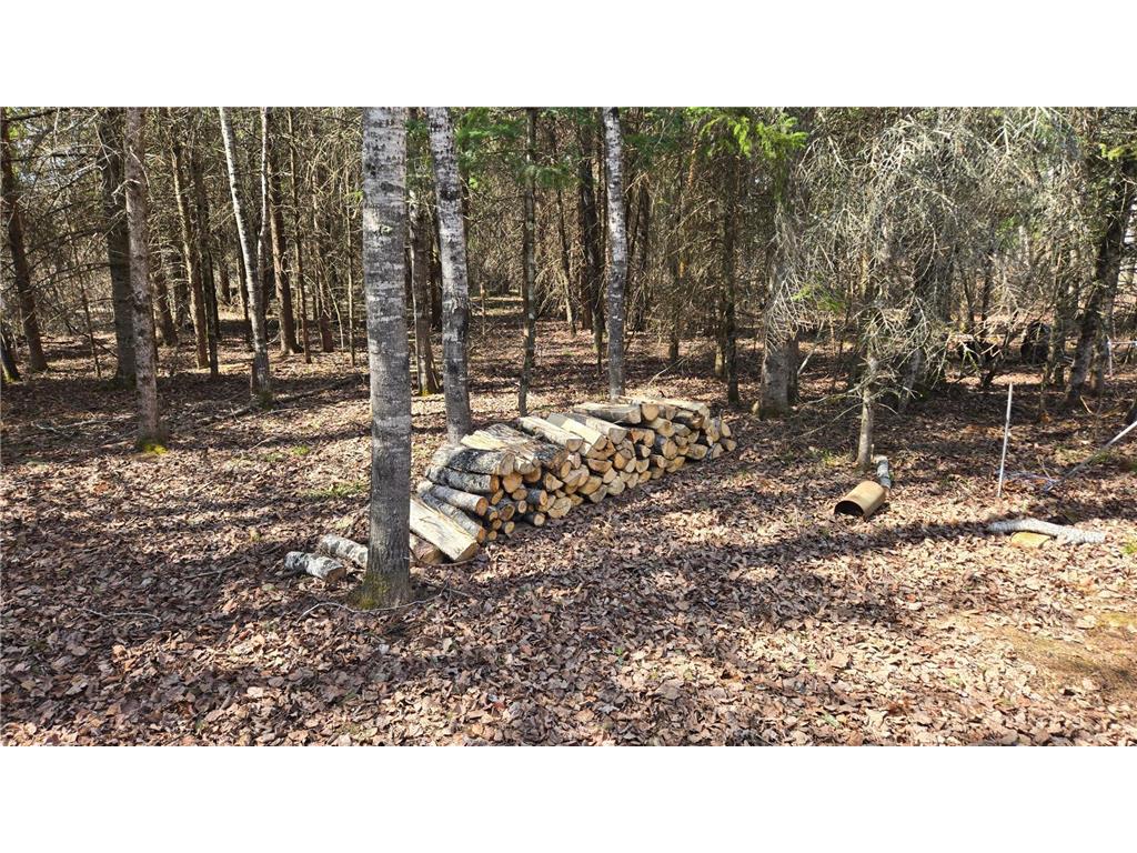 TBD 43 Lummi Road Orr MN 55771 7074146 image16