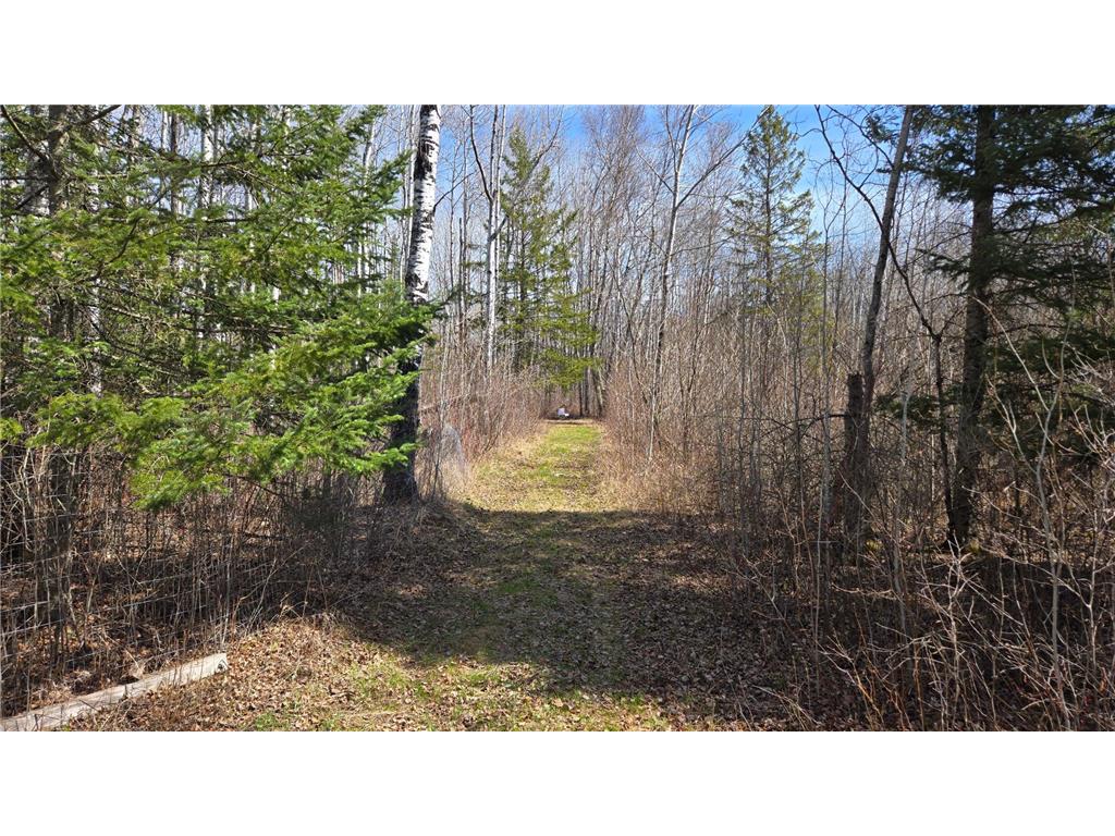 TBD 43 Lummi Road Orr MN 55771 7074146 image21