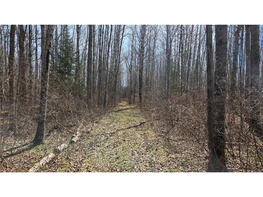 TBD 43 Lummi Road Orr MN 55771 7074146 image22