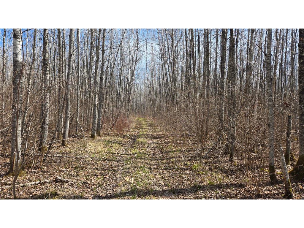 TBD 43 Lummi Road Orr MN 55771 7074146 image24