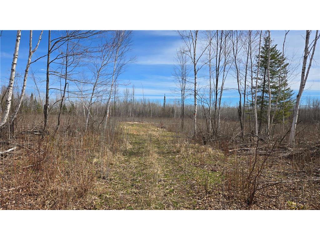 TBD 43 Lummi Road Orr MN 55771 7074146 image25