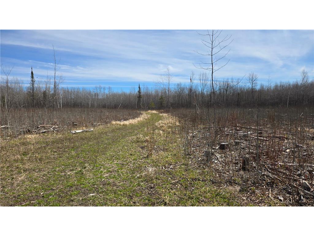 TBD 43 Lummi Road Orr MN 55771 7074146 image26