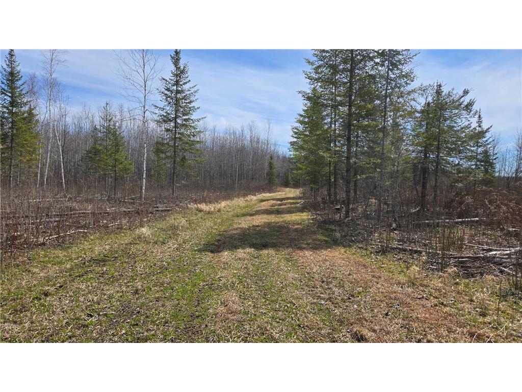 TBD 43 Lummi Road Orr MN 55771 7074146 image27