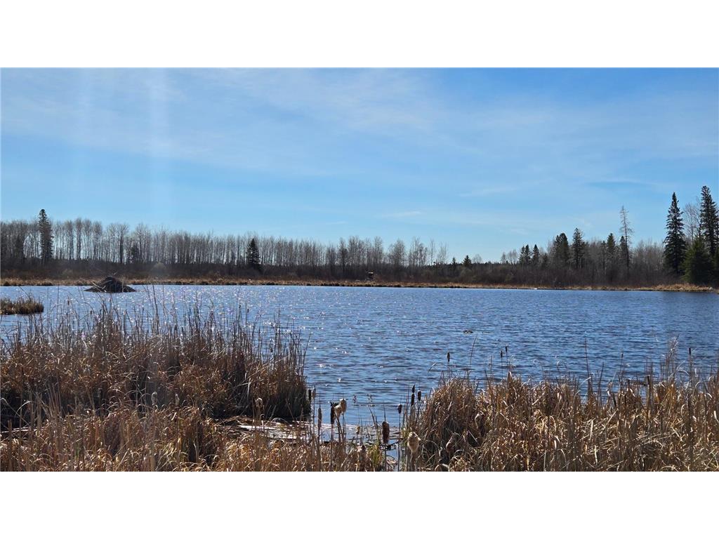 TBD 43 Lummi Road Orr MN 55771 7074146 image4