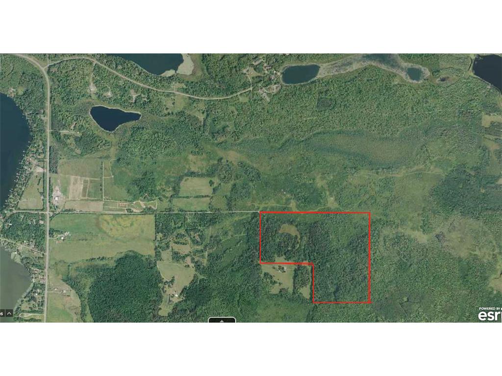TBD 430th Lane Fleming Twp MN 56469 7090954 image2