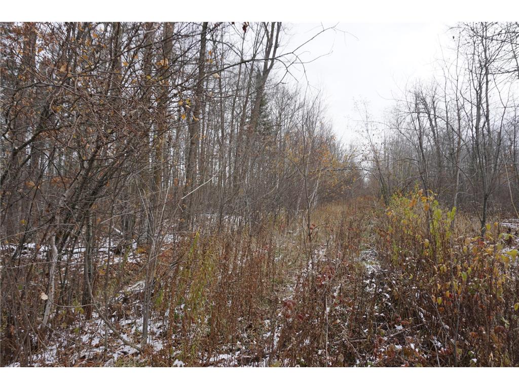 TBD 430th Lane Mcgregor MN 55760 6456196 image1