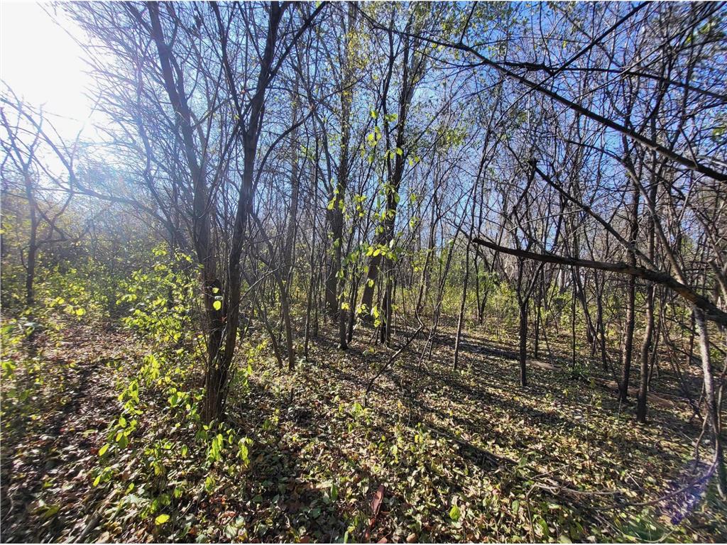 TBD 438th Street Harris MN 55032 6818857 image1