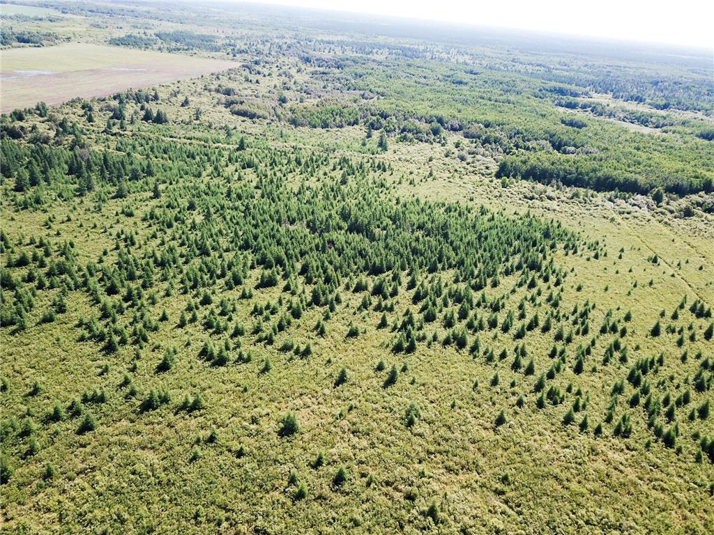 TBD 440th Avenue Golden Valley Twp MN 56761 7100487 image10