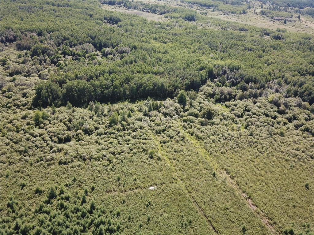 TBD 440th Avenue Golden Valley Twp MN 56761 7100487 image13