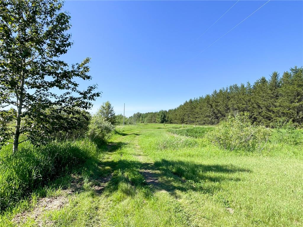 TBD 440th Avenue Golden Valley Twp MN 56761 7100487 image23