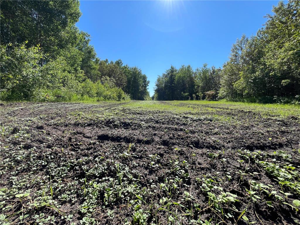 TBD 440th Avenue Golden Valley Twp MN 56761 7100487 image34