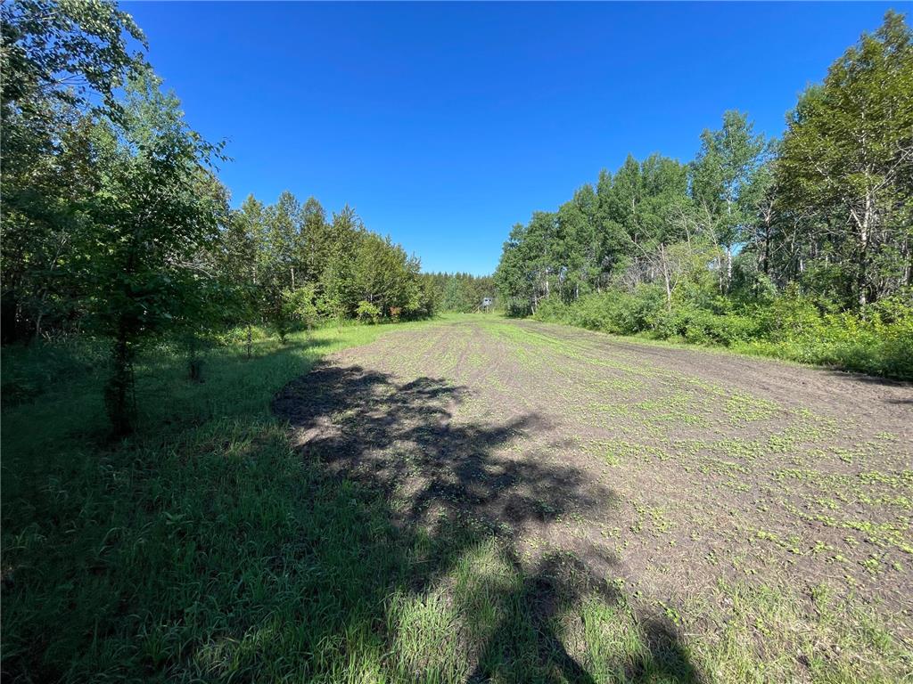 TBD 440th Avenue Golden Valley Twp MN 56761 7100487 image35