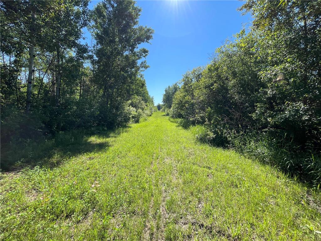 TBD 440th Avenue Golden Valley Twp MN 56761 7100487 image36