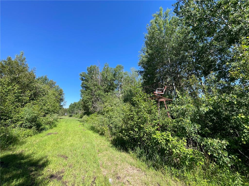 TBD 440th Avenue Golden Valley Twp MN 56761 7100487 image37