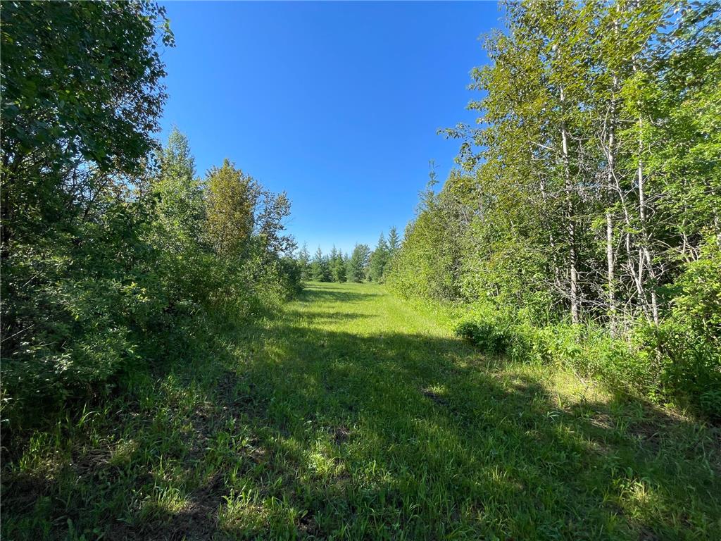 TBD 440th Avenue Golden Valley Twp MN 56761 7100487 image38