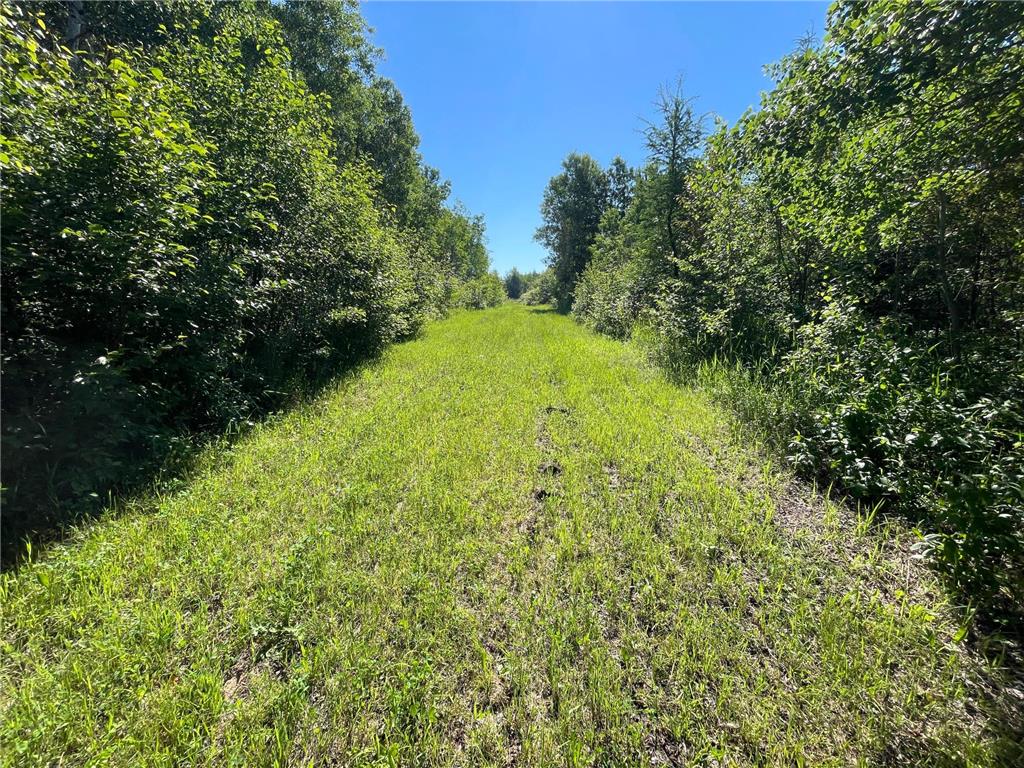 TBD 440th Avenue Golden Valley Twp MN 56761 7100487 image39