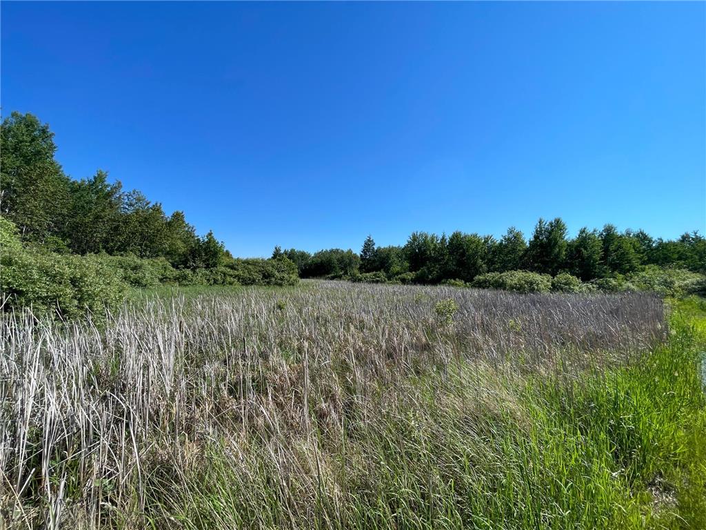 TBD 440th Avenue Golden Valley Twp MN 56761 7100487 image40