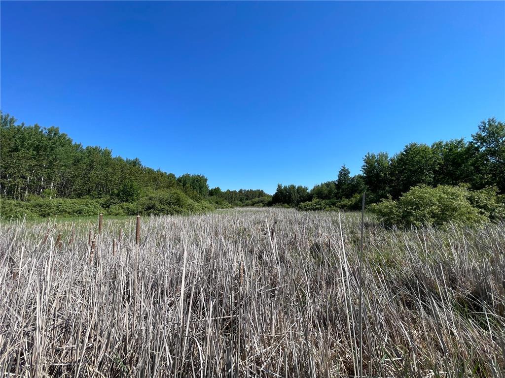 TBD 440th Avenue Golden Valley Twp MN 56761 7100487 image41