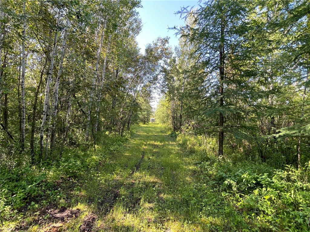 TBD 440th Avenue Golden Valley Twp MN 56761 7100487 image43