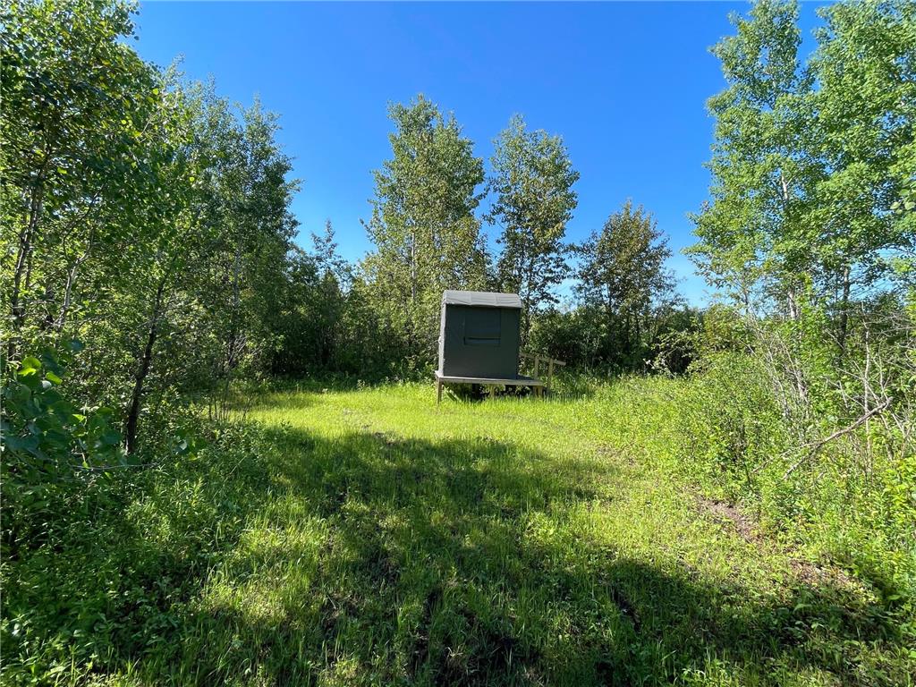 TBD 440th Avenue Golden Valley Twp MN 56761 7100487 image44