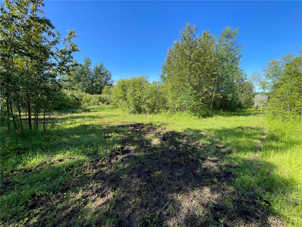 TBD 440th Avenue Golden Valley Twp MN 56761 7100487 image47