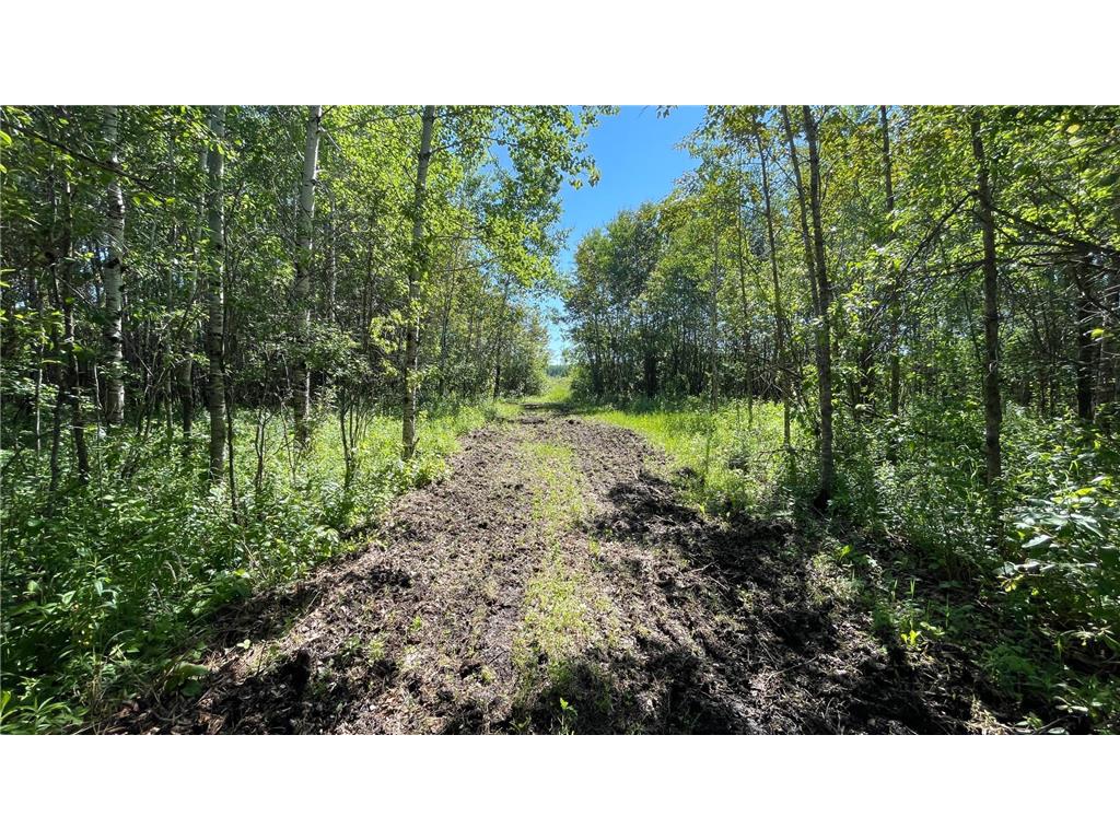 TBD 440th Avenue Golden Valley Twp MN 56761 7100487 image48