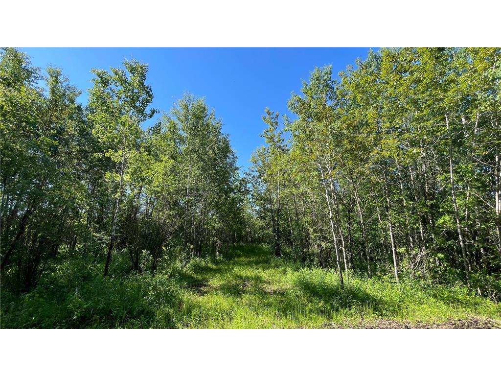 TBD 440th Avenue Golden Valley Twp MN 56761 7100487 image49