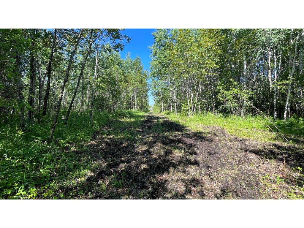 TBD 440th Avenue Golden Valley Twp MN 56761 7100487 image50