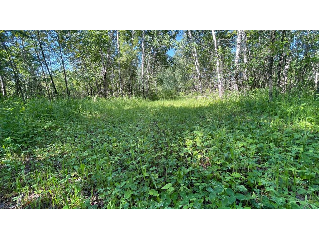 TBD 440th Avenue Golden Valley Twp MN 56761 7100487 image51